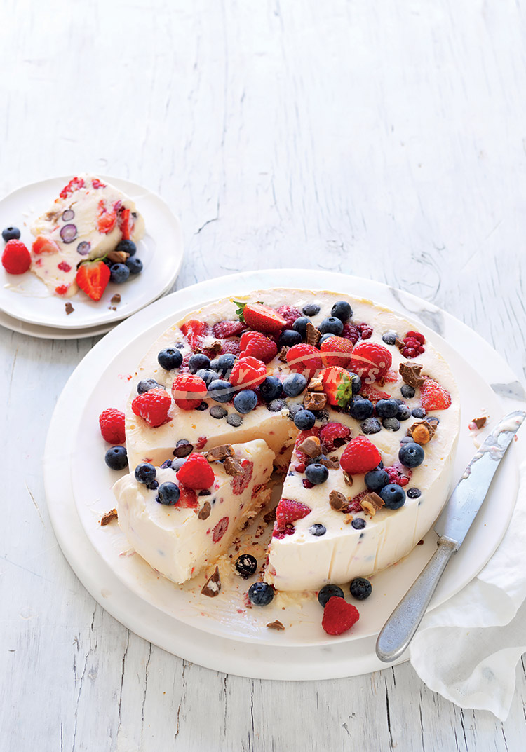 berry-chocolate-and-yoghurt-ice-cream-cake