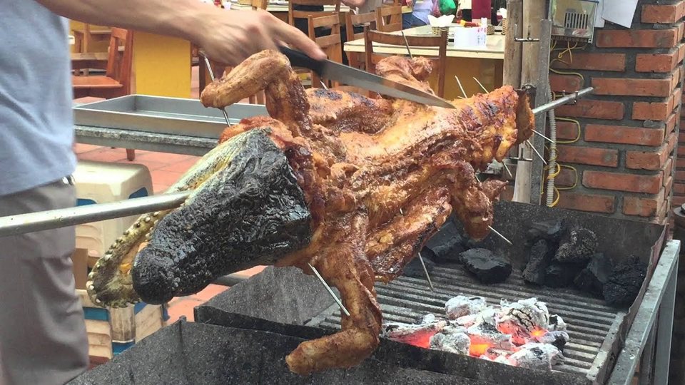 crocodile meat australia (5)
