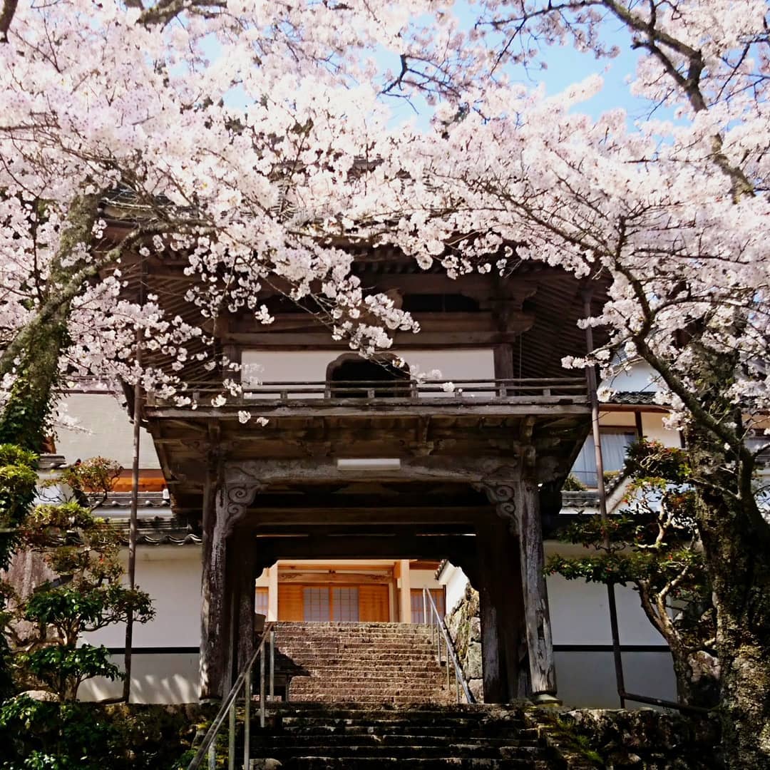 Gyokurinji Temple is also one of Yanaka's hidden treasures.