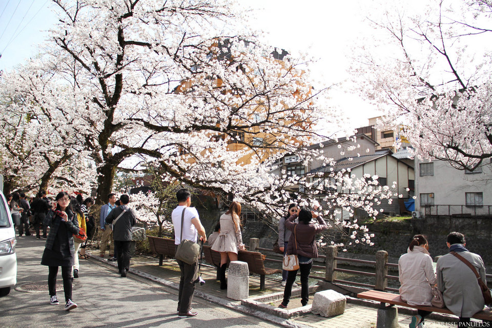 1winter Takayama honshu japan.1