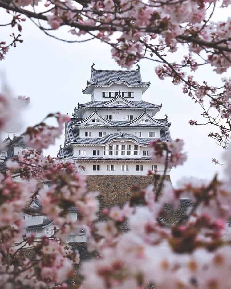 Imperial Palace, in the past was Edo Castle.
