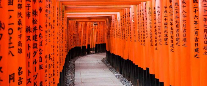 torri gate shinto shrine