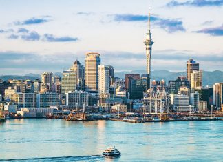 AucklandSkyWalkSkyJump