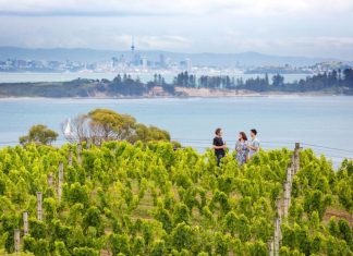 5364-WaihekeIsland-Auckland-MilesHolden