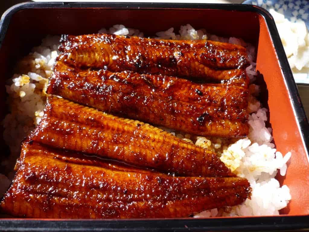 unagi grilled eel japan food (1)