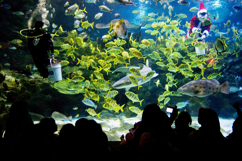 quarium klcc kl