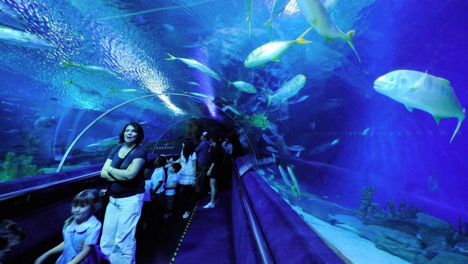 quarium klcc kl