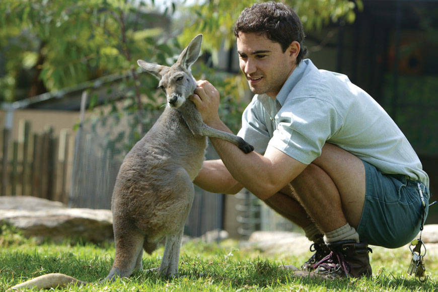 3Taronga Zoo Sydney (1)