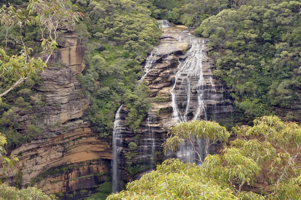 Wentworth Falls blue mountain park