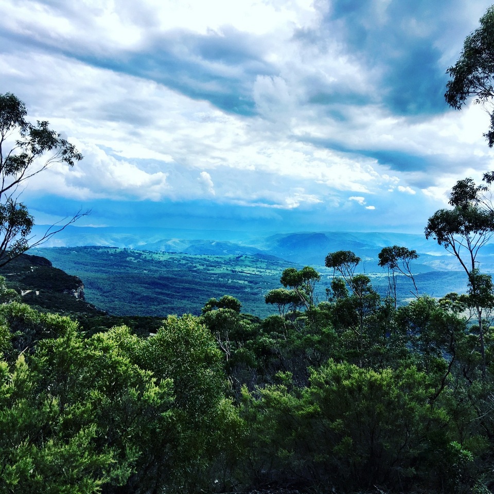 blue mountains park sydney.3