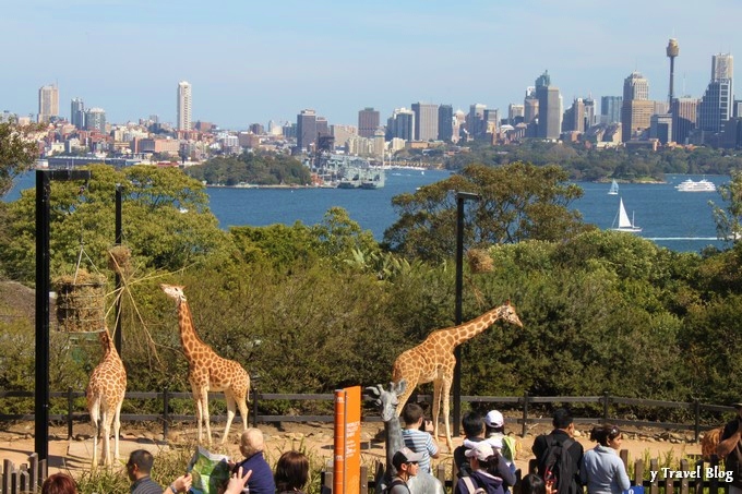 taronga-Zoo-sydney-111