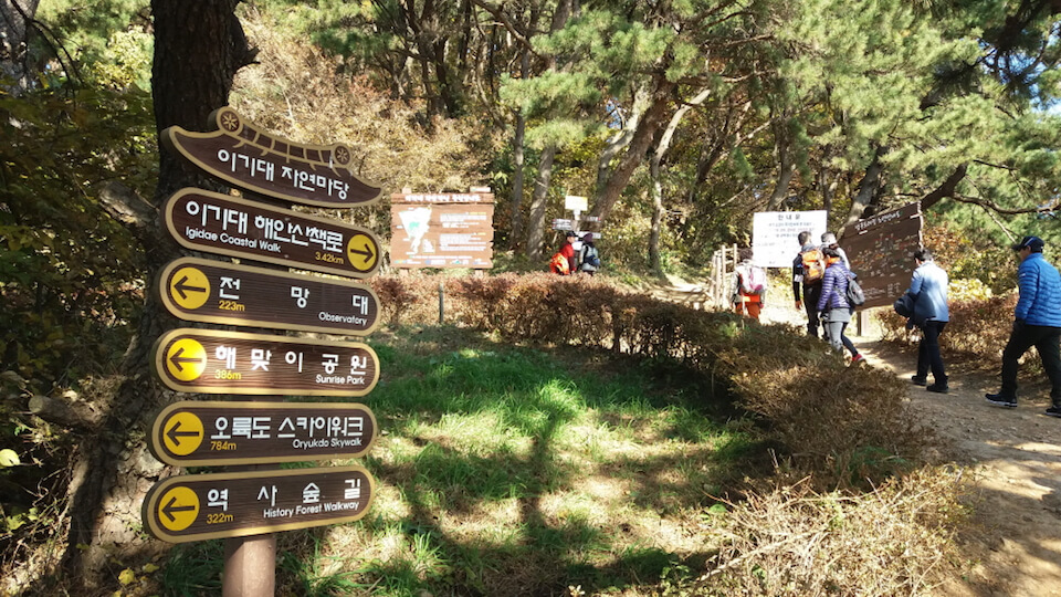Busan self-planned itinerary