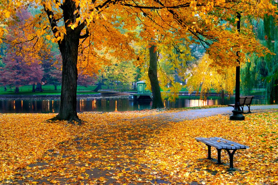 autumn Boston city guide, When is the best time to travel to Boston
