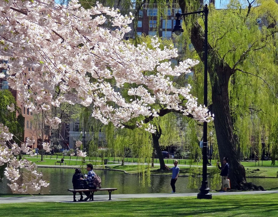 boston in spring time Boston city guide, When is the best time to travel to Boston