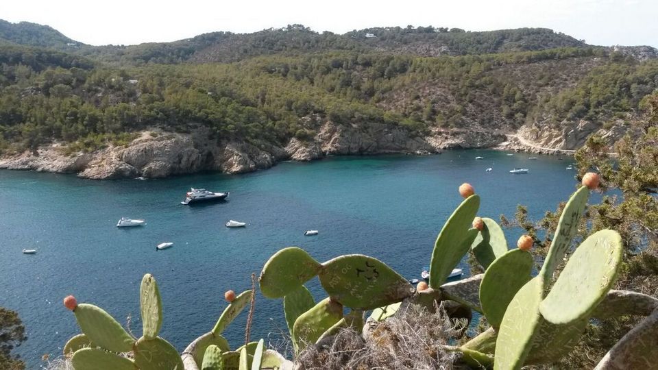 Cova de Can Marçà beach.1