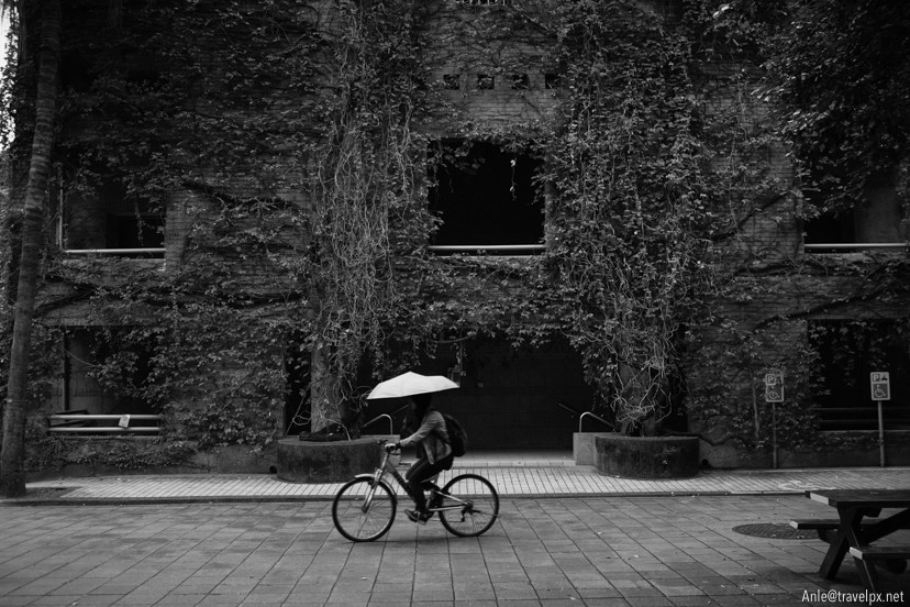 National Taiwan University taipei (1)