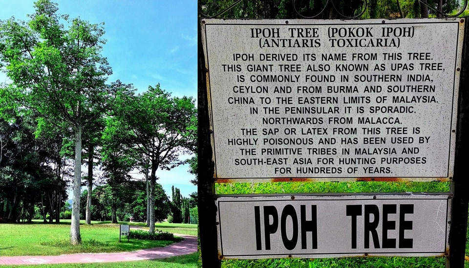 Ipoh Tree park2