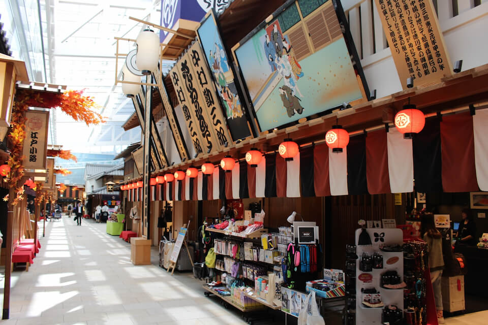Tokyo Airport how to get from airport to tokyo,how to get from haneda airport to tokyo,how to get from narita airport to tokyo,