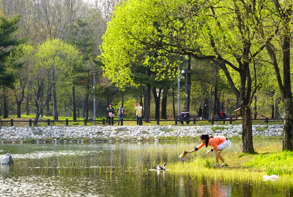 Seoul Forest park