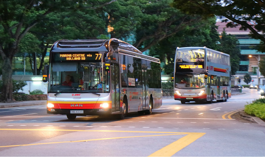 public-transport-bus-sgtransport