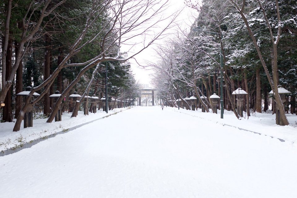 Sapporo in winter22