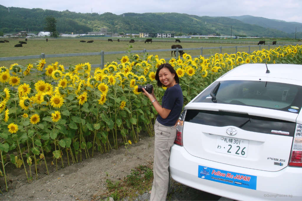 self drive to hokkaido