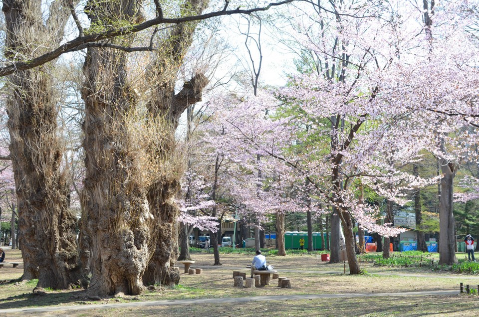 Maruyama Park sapporo (1)