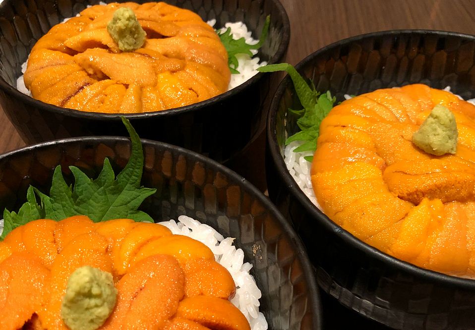 uni hokkaido