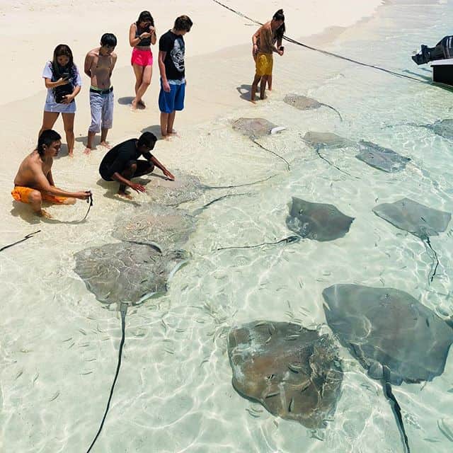 Feeding the rays