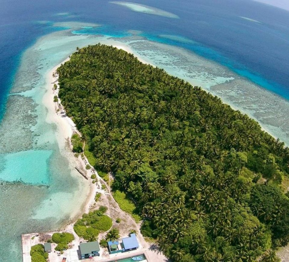 Plumeria Maldives