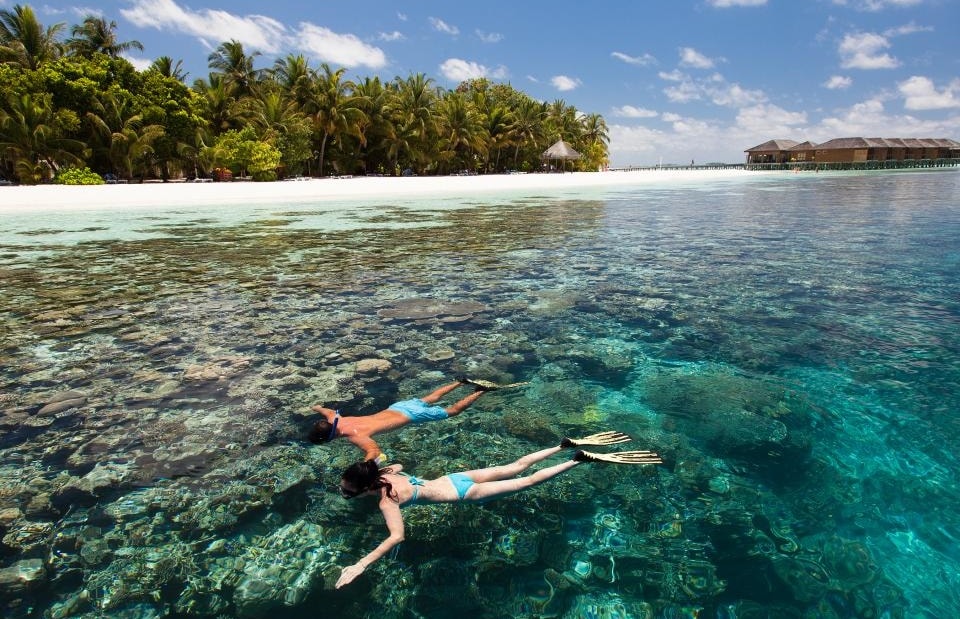 vilamendhoo-snorkeling