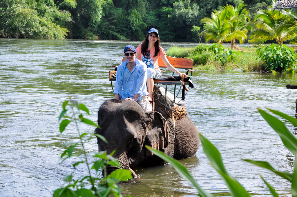 Elephant trekking