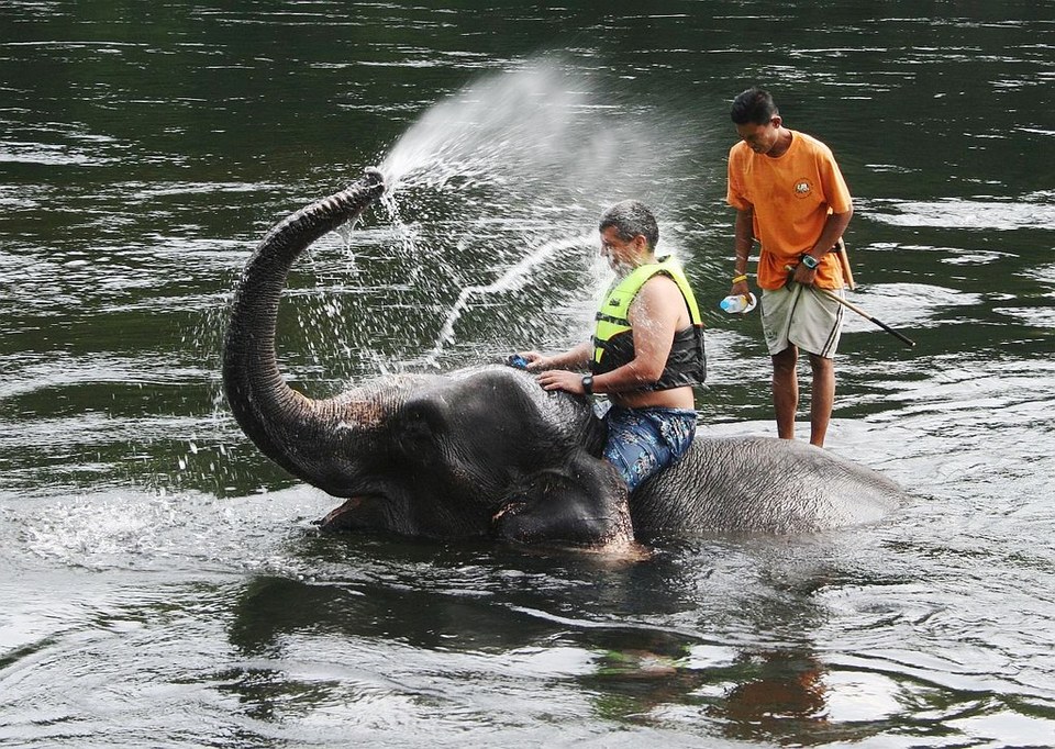 Taweechai Elephant Camp (1)