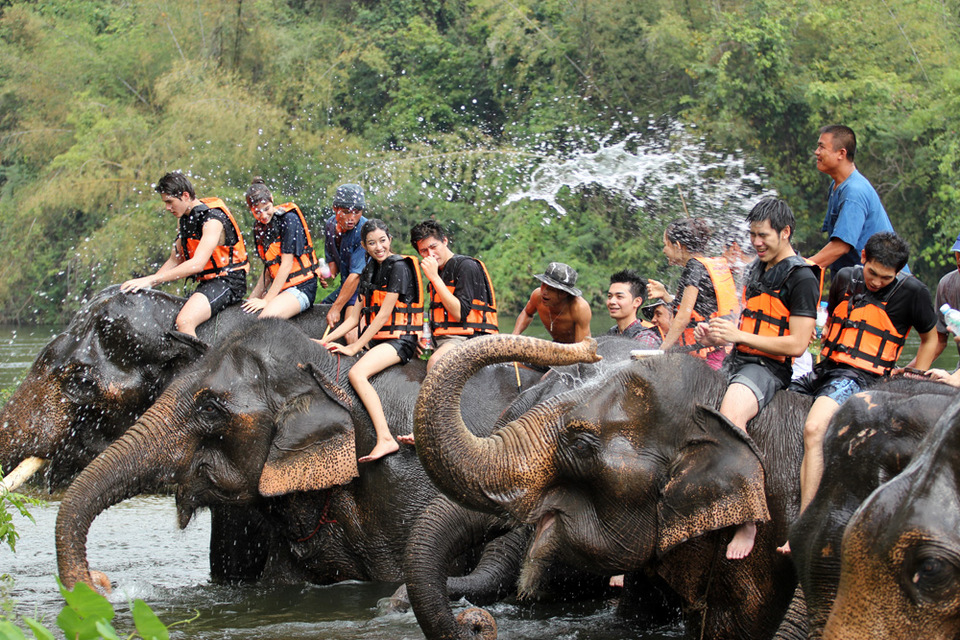 Taweechai Elephant Camp (1)