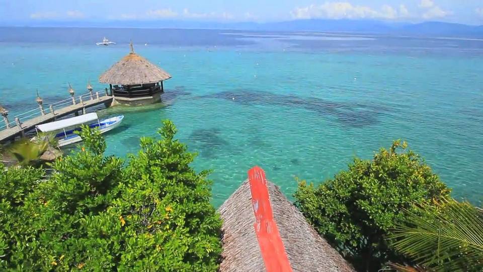 Dive Resort Dolphin House in Moalboal,moalboal,cebu guide,cebu blog,cebu island travel guide,cebu travel blog,cebu travel guide,cebu trip blog