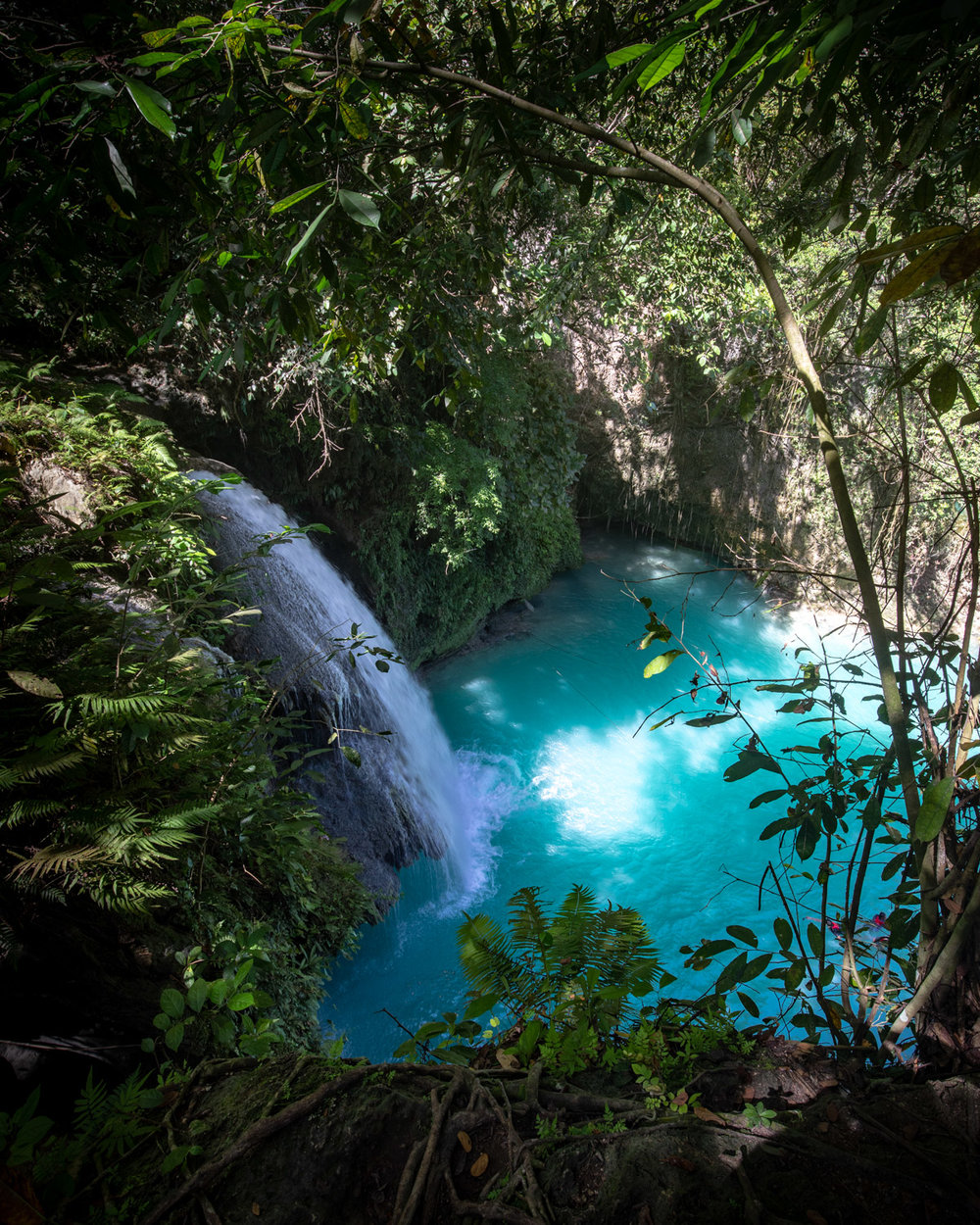 Kawasan Falls,cebu guide,cebu blog,cebu island travel guide,cebu travel blog,cebu travel guide,cebu trip blog (1)