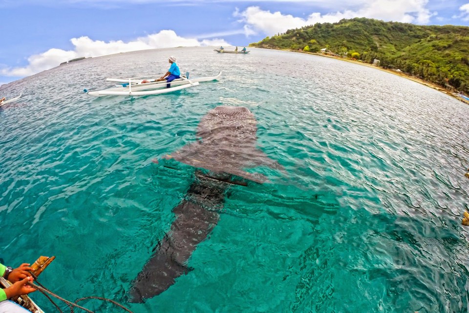 Oslob cebu