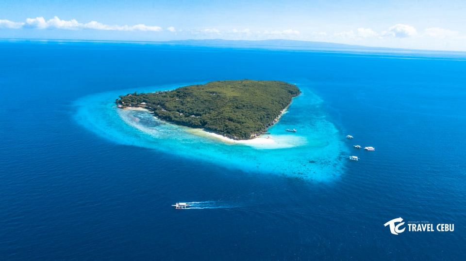 sumilon island oslob cebu whale shark,cebu guide,cebu blog,cebu island travel guide,cebu travel blog,cebu travel guide,cebu trip blog (1)