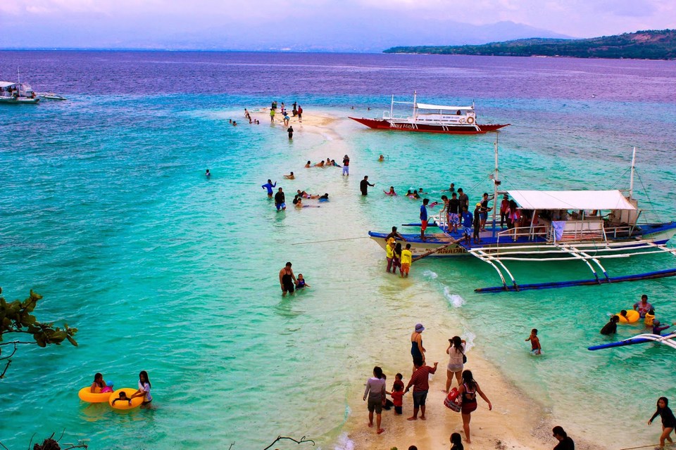 sumilon island oslob cebu whale shark,cebu guide,cebu blog,cebu island travel guide,cebu travel blog,cebu travel guide,cebu trip blog (1)