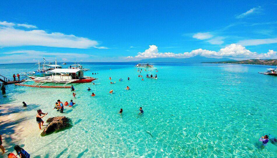 sumilon island oslob cebu whale shark,cebu guide,cebu blog,cebu island travel guide,cebu travel blog,cebu travel guide,cebu trip blog (1)