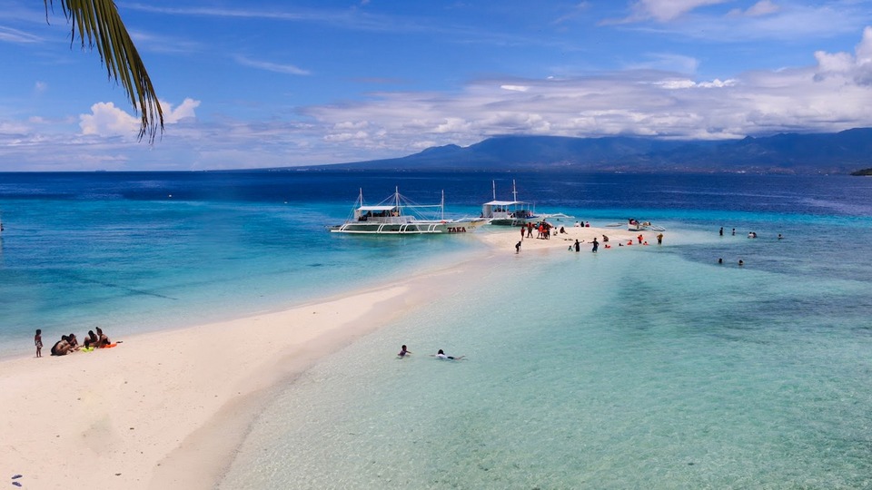 sumilon island oslob cebu whale shark,cebu guide,cebu blog,cebu island travel guide,cebu travel blog,cebu travel guide,cebu trip blog (1)