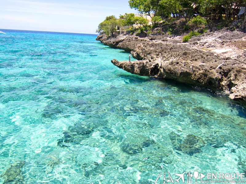 sumilon island oslob cebu whale shark,cebu guide,cebu blog,cebu island travel guide,cebu travel blog,cebu travel guide,cebu trip blog (1)