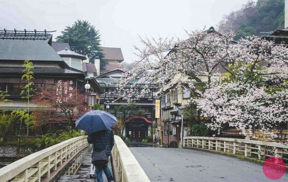 Hakone in Spring season