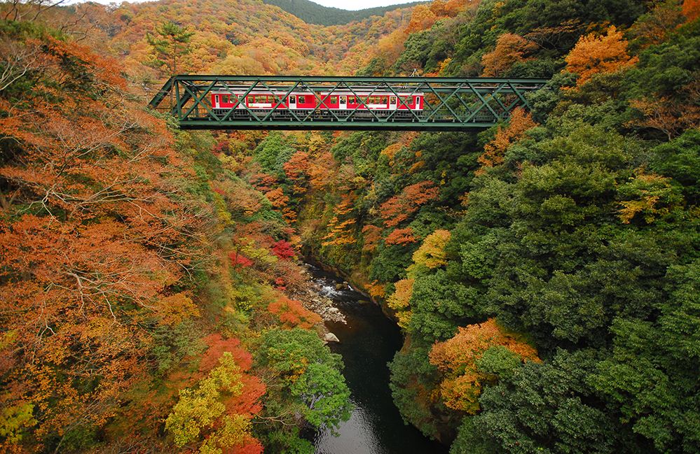 hakone in autumn