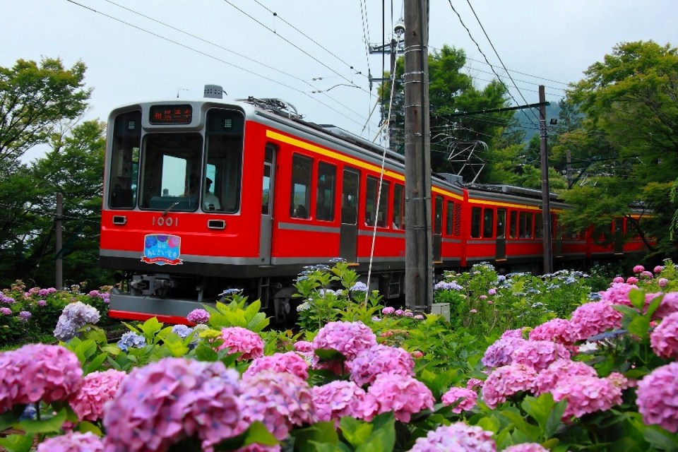 Hakone Tozan Railway (1)