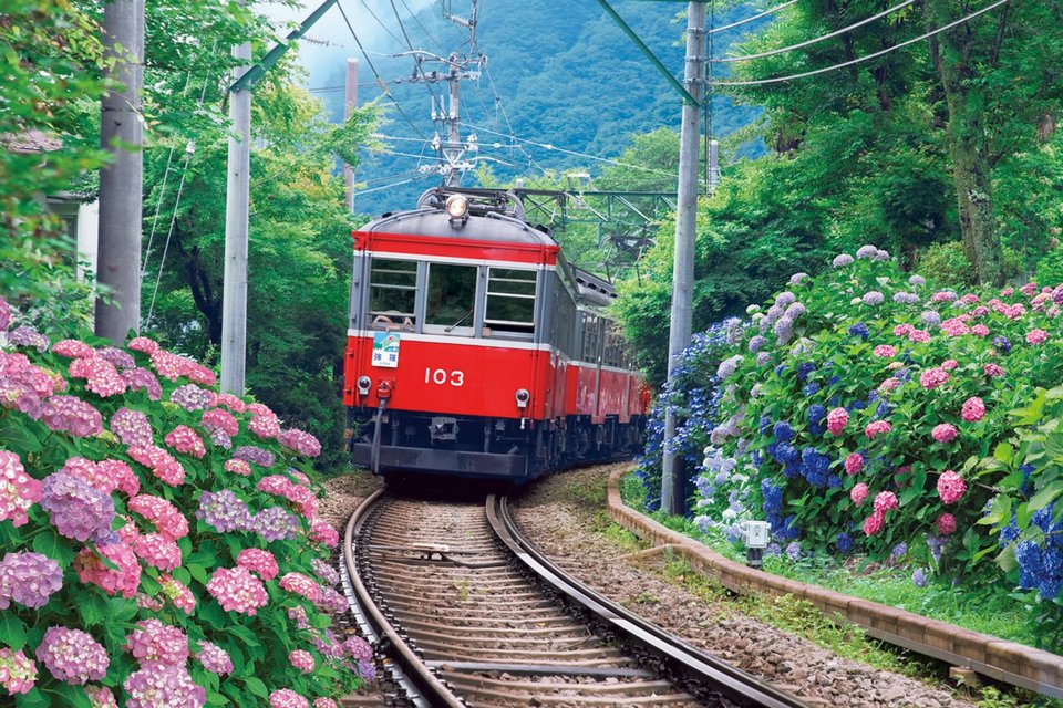 Hakone Tozan Railway (1)