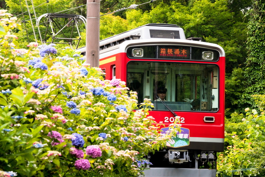 Hakone Tozan Railway (1)