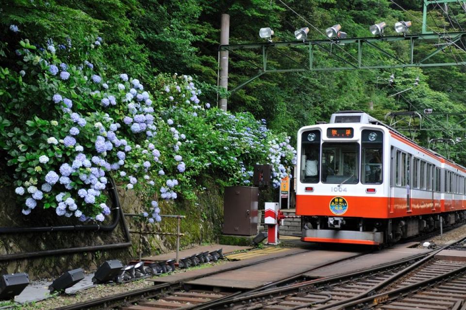 Hakone Tozan Railway (1)