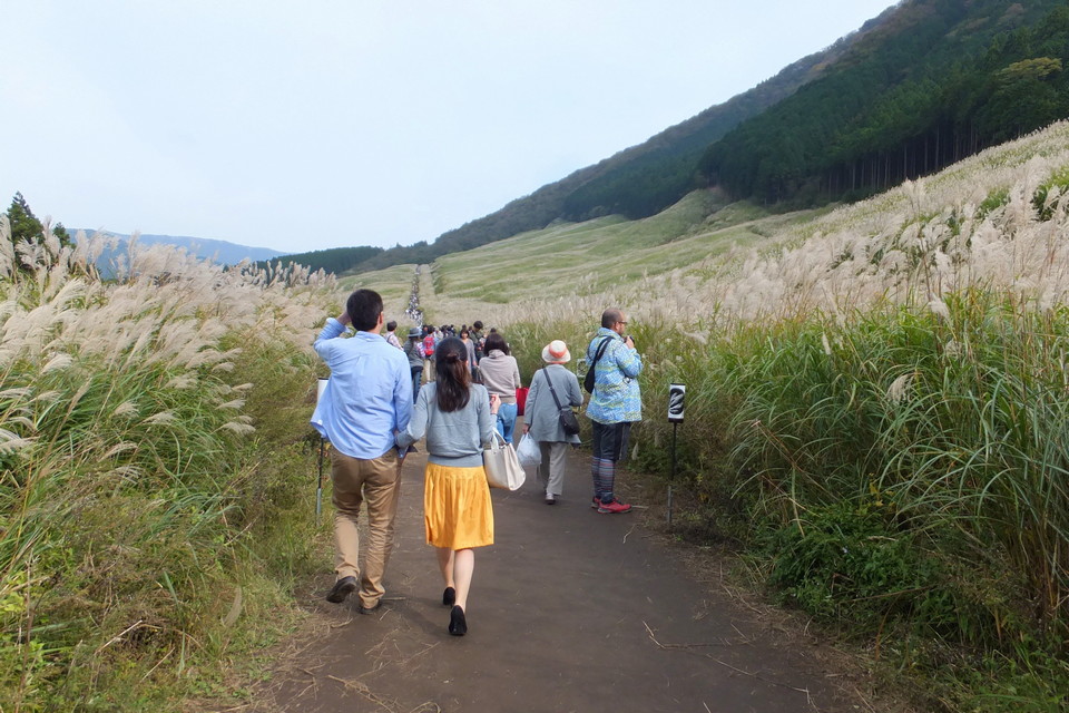 hakone grass field