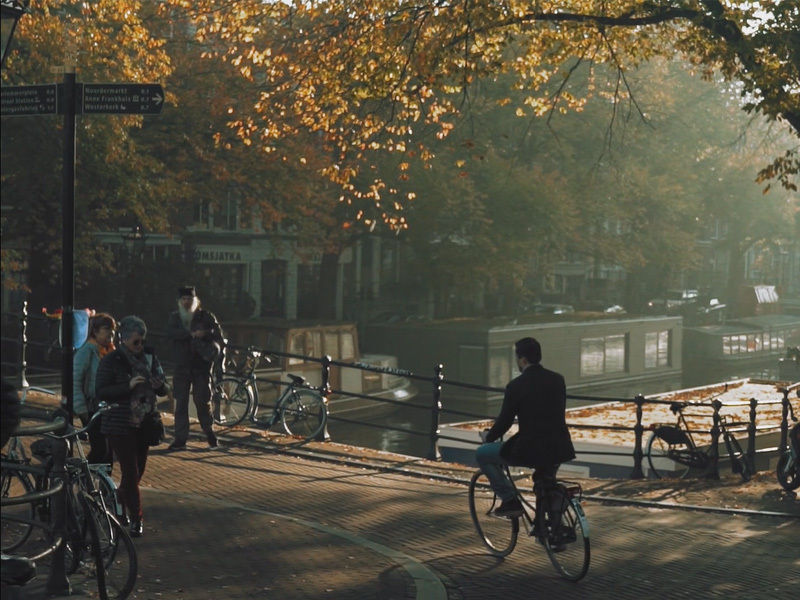 DutchReview_autumn-fall_Gosse-Bouma_video
